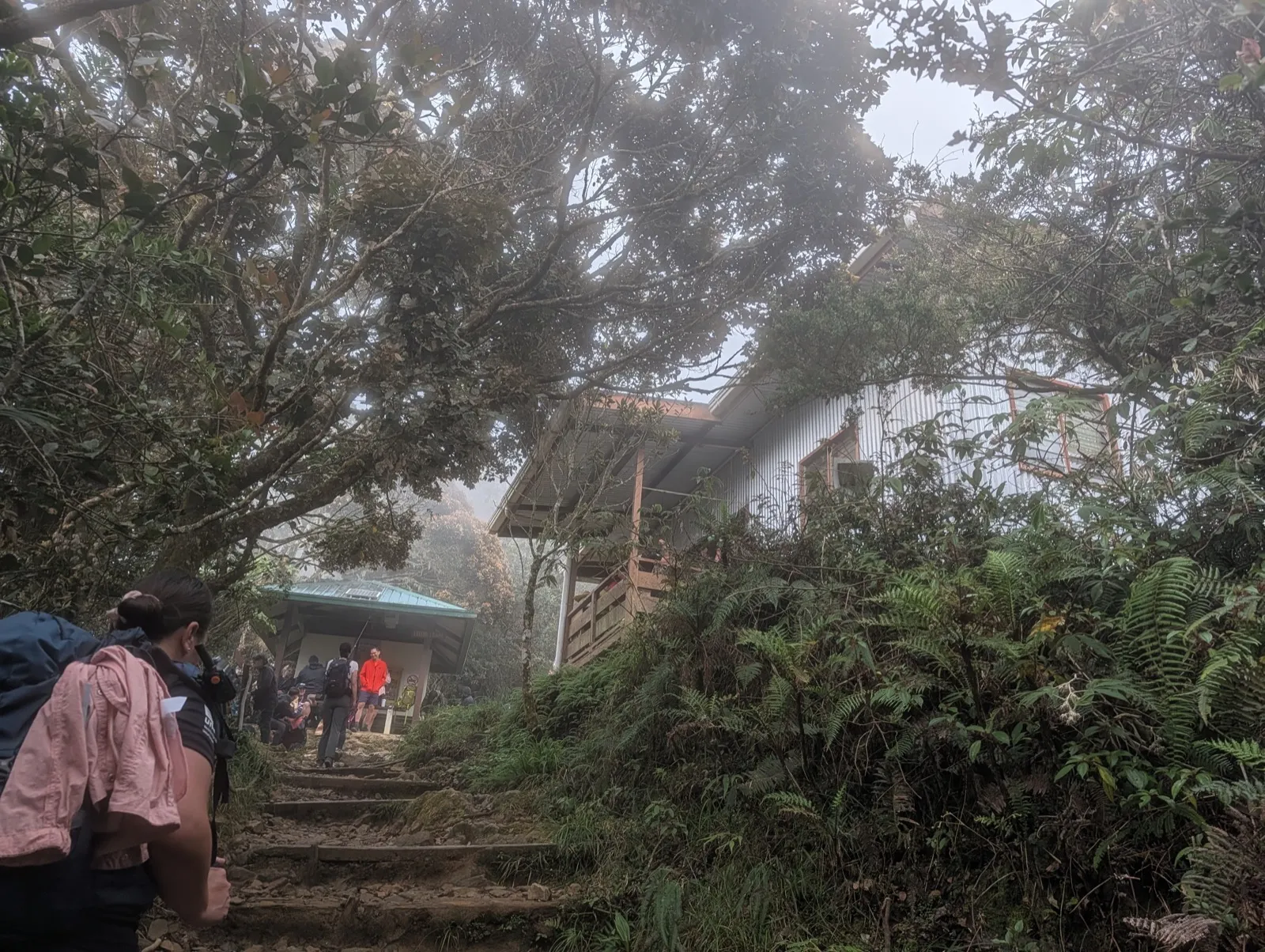 Trailside shelter