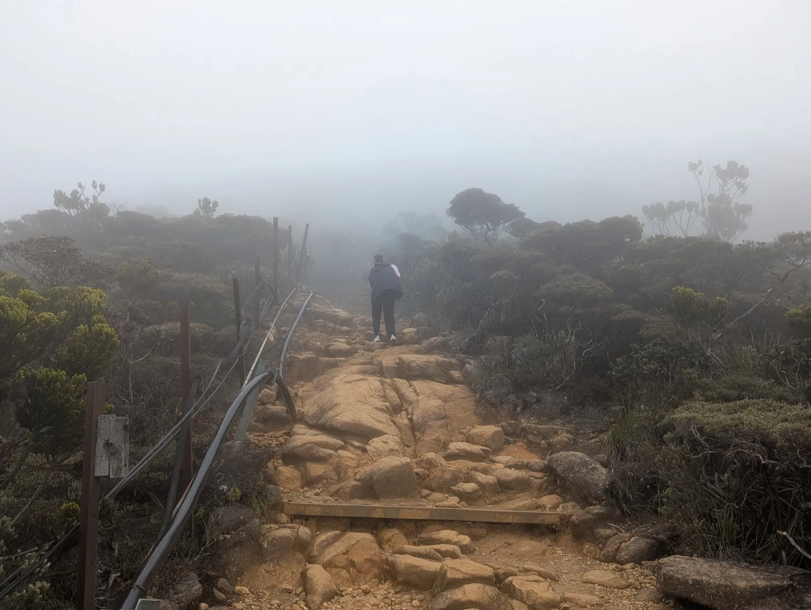 High-altitude trail wrapped in mist