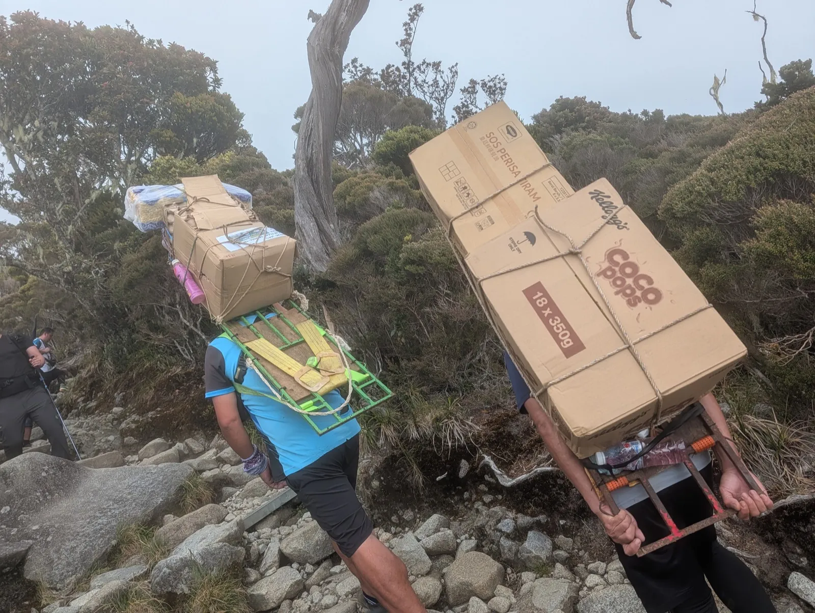 Porters carrying food crates on the way down